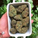 Stivin HULK Profile Picture