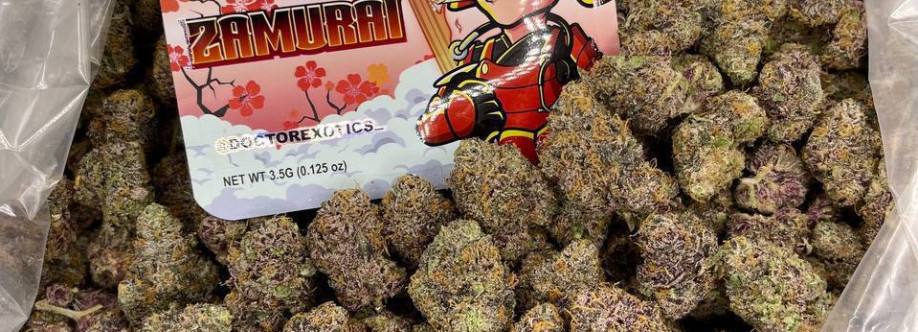 Stivin HULK Cover Image