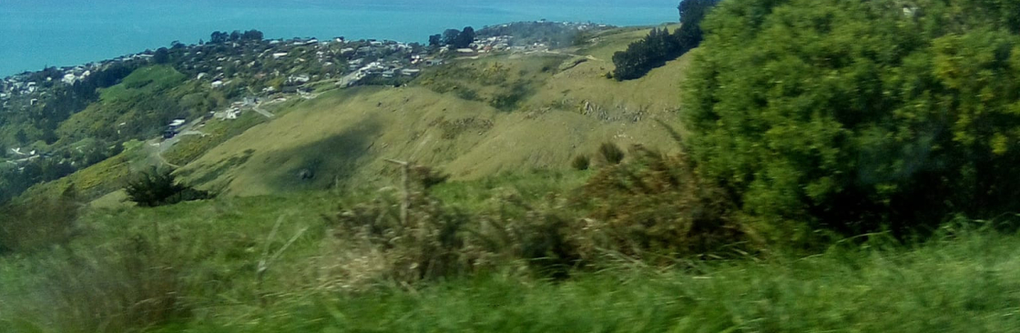 Dam Good Green Cover Image