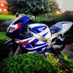 Paul Alboni profile picture