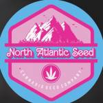 Chris Mckenna profile picture