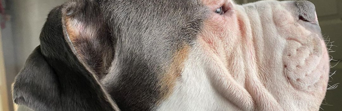 James Waite Cover Image