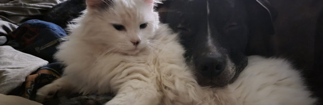 Kelsey Eileen Merchant Cover Image