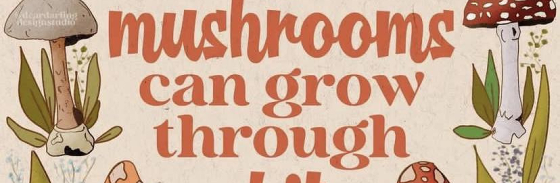 Sesh Essential Cover Image