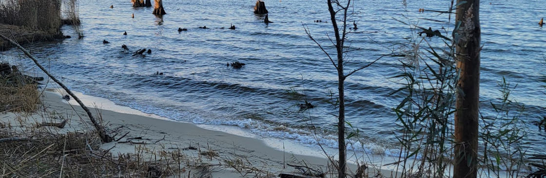 Jay Keith Cover Image