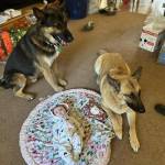 Jason Wryals Profile Picture