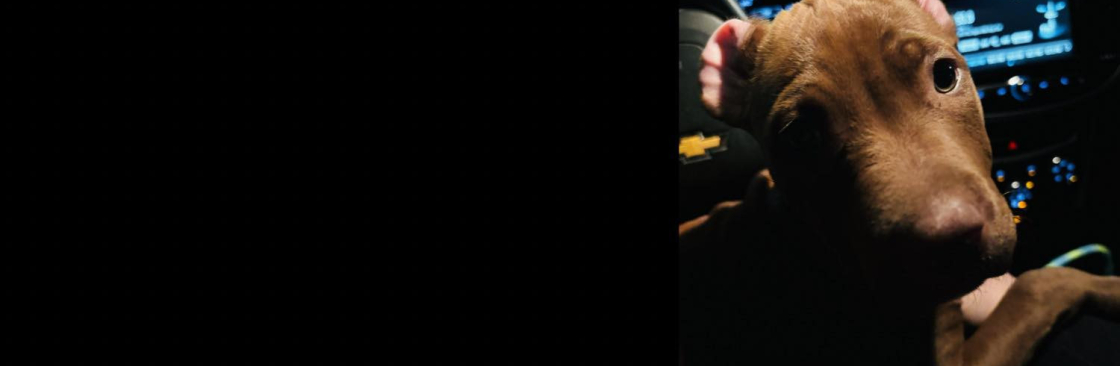 Tanner Sharp Cover Image