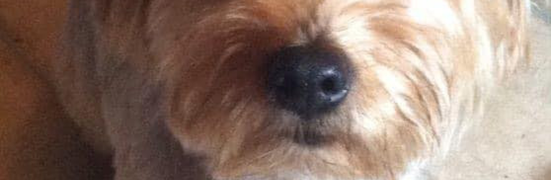 Nani Nani Cover Image