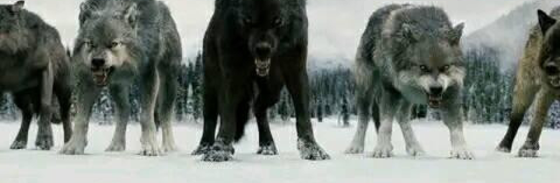 Anet Kubů Cover Image