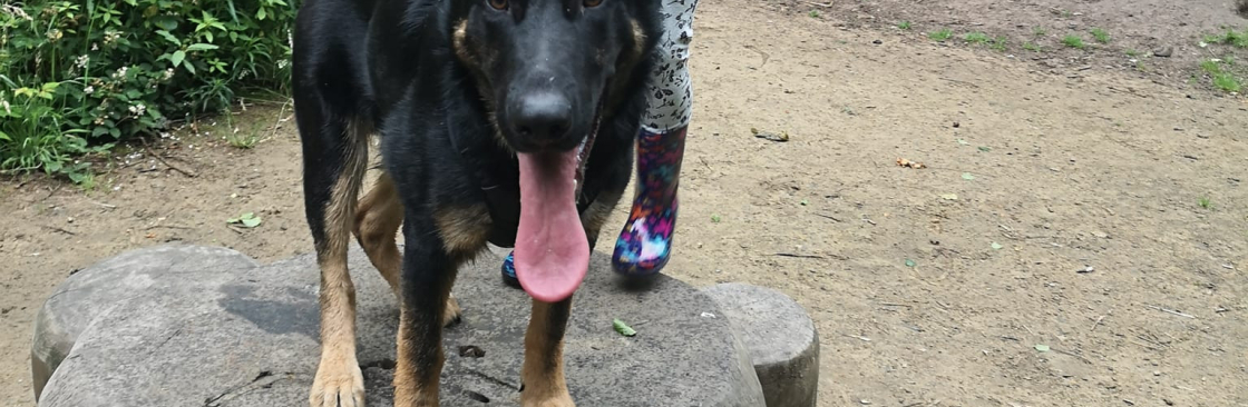 Adam Matthews New Cover Image