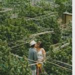 Olivia Aroesede profile picture