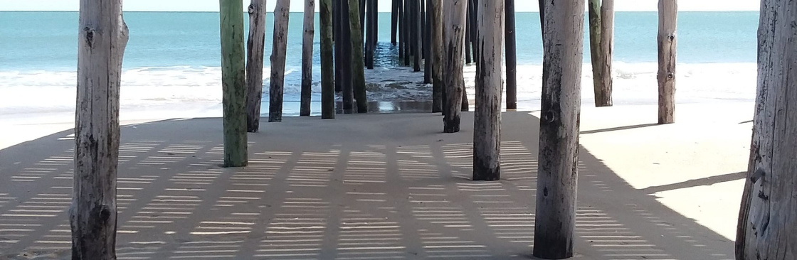 Steve Andrews Cover Image