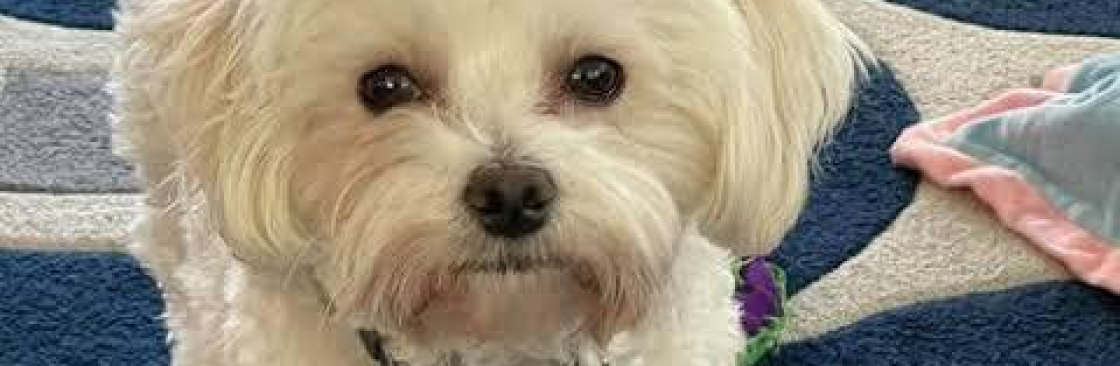 Frank Harrison Cover Image