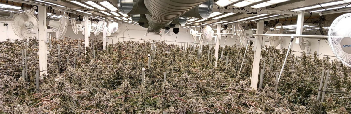 Robert Hebert Cover Image