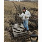 Jeff Brose profile picture