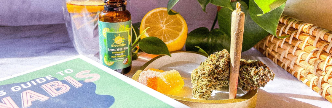 Shelby Brown Cover Image