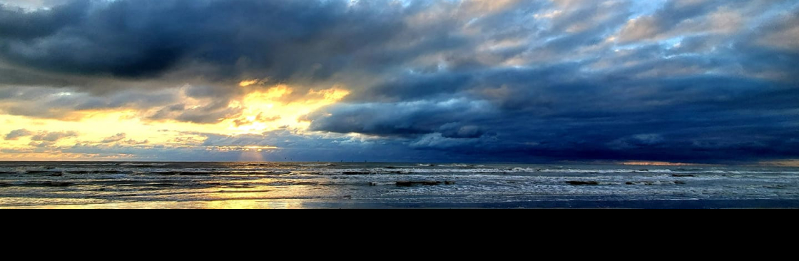 Keller C  Harvey Cover Image