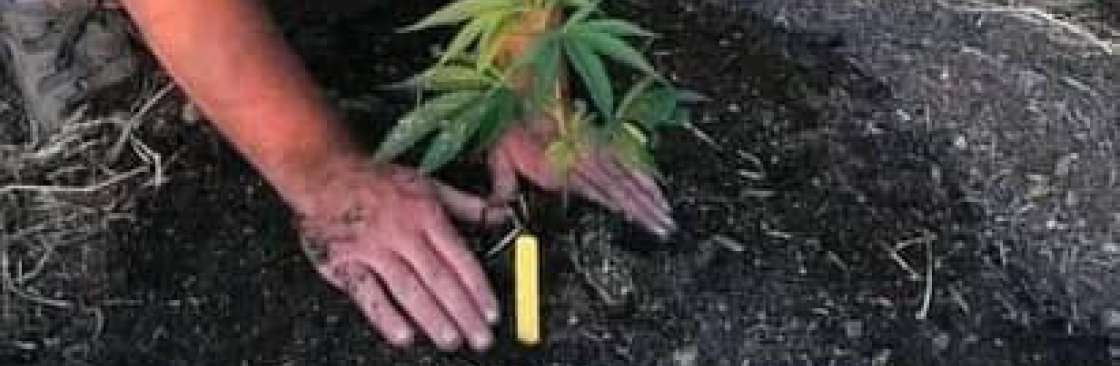 Johnny Marcos Cover Image