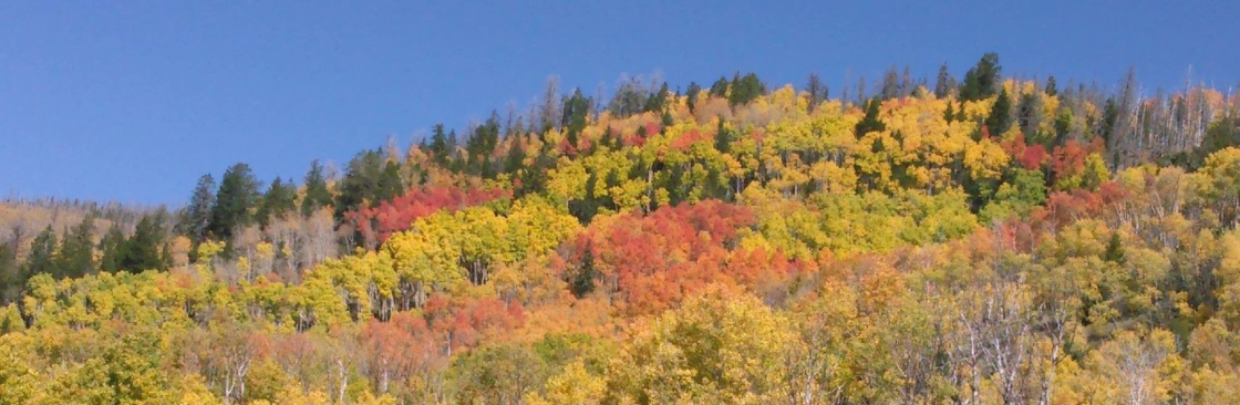 Jared Thacker Cover Image