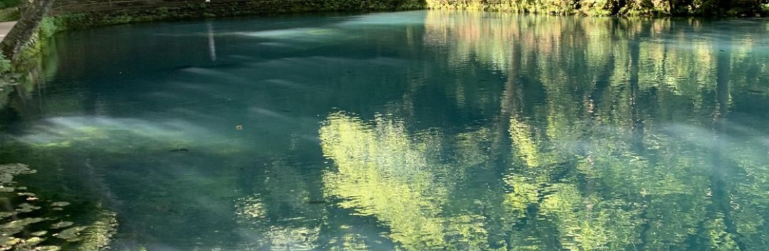 Robin Scott Cover Image