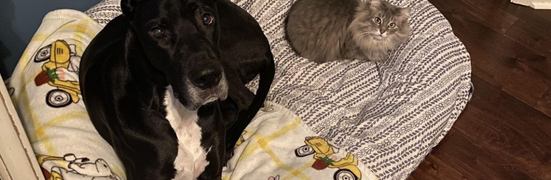 Brian Hill Cover Image