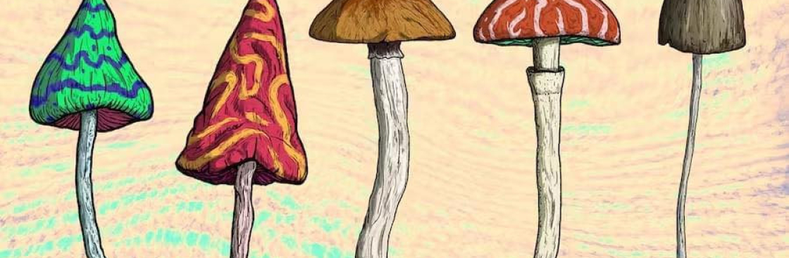 Lexi Kitson Cover Image