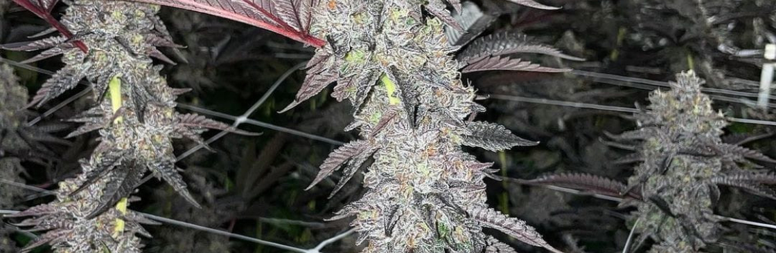 James Kinard Cover Image