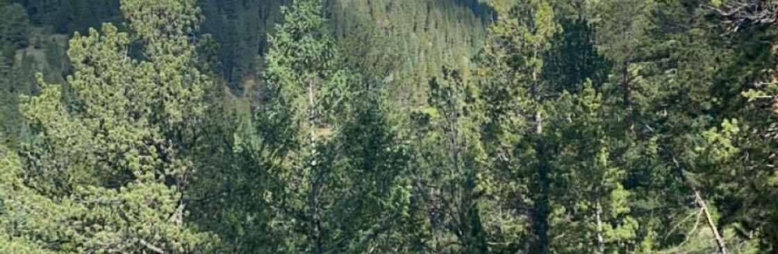 Logan Adams Cover Image