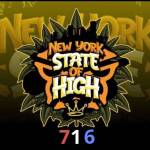 James Will Profile Picture