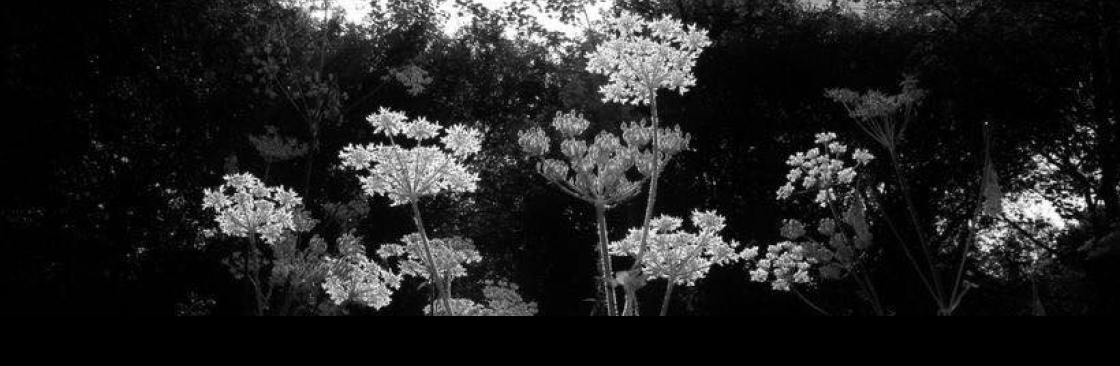 Jewel Fleming Cover Image