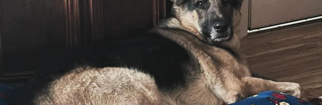 Trisha Lynn Snell Cover Image