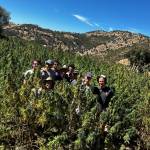 Mohamed Mohamed Profile Picture