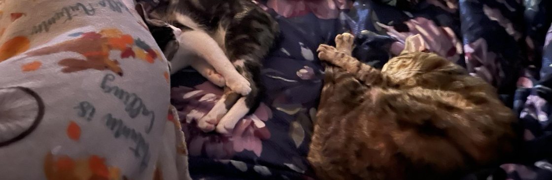 Desire Alexia Naeole Cover Image