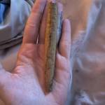 Martha Wayne profile picture