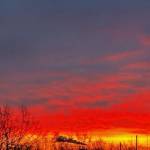 Ryley Atkinson profile picture