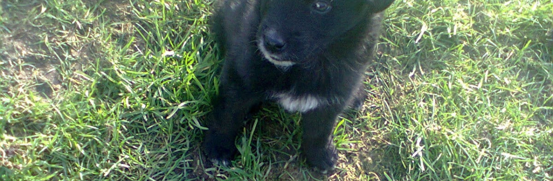 Conor Toal Cover Image