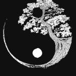 Cape Rookie profile picture