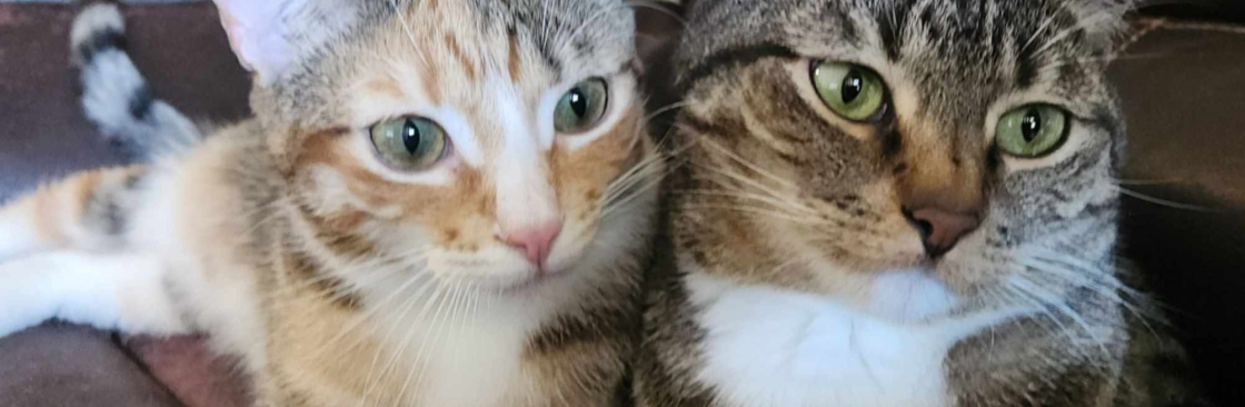 Cammie Flores Cover Image