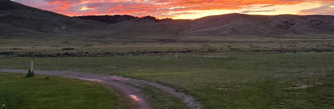 Eddie Simonsen Cover Image