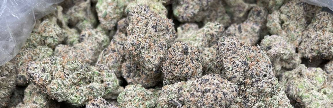 Doja Exclusives Cover Image