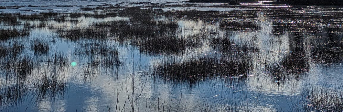 Jessica Anne Cover Image