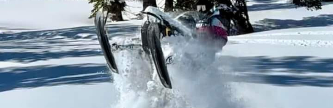 Gina Lino Cover Image