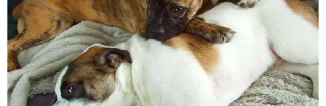 Jesse Brian Greer Cover Image