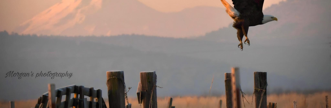 Morgan Thomas Cover Image