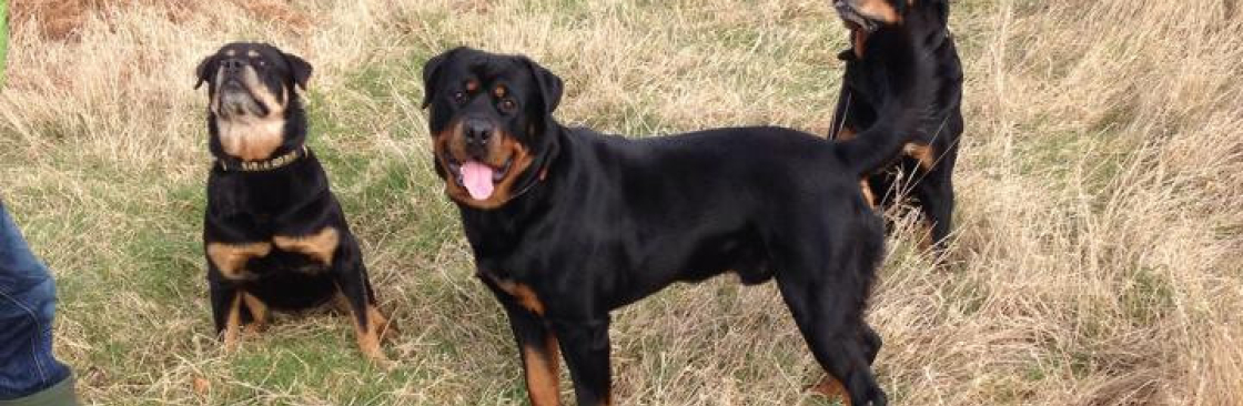 Paul Pasieka Cover Image