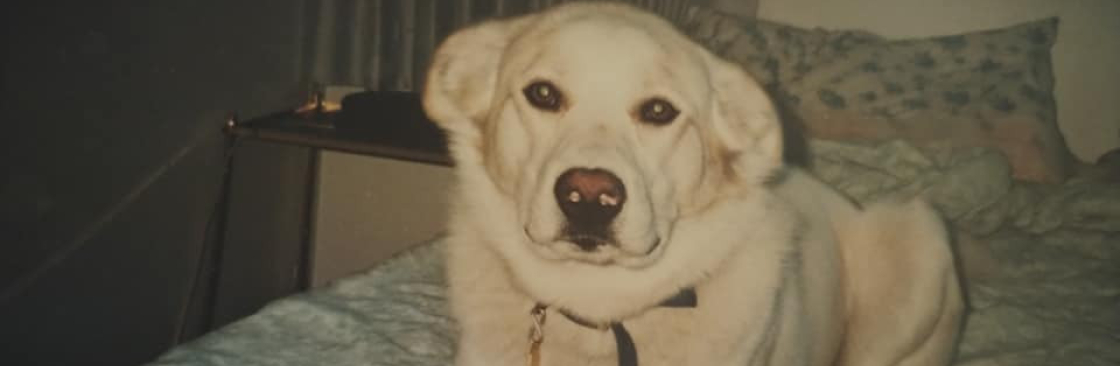 Scott Patterson Cover Image