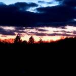 Tanya Leupp profile picture