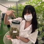 Bobo Rok Profile Picture