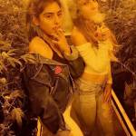 Cannaporn Cannabis Art profile picture