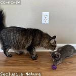 Berneice Bernhard Profile Picture